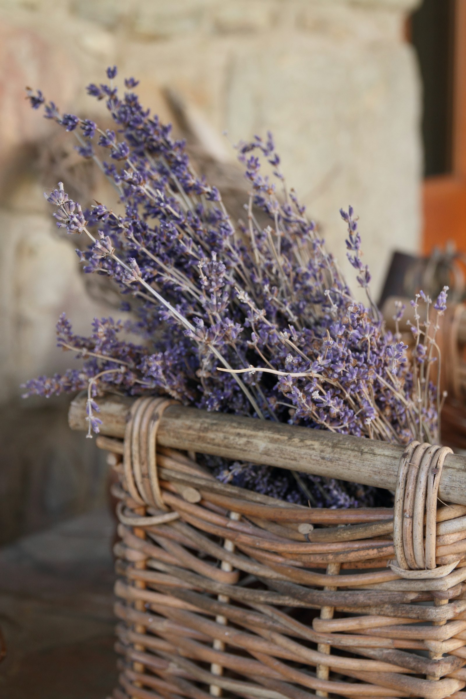 Flores secas de lavanda en una cesta de mimbre marrón