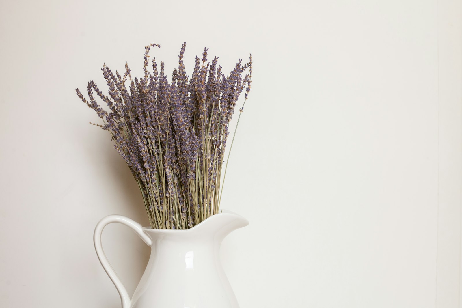 Lavanda seca en un jarrón cerámico blanco